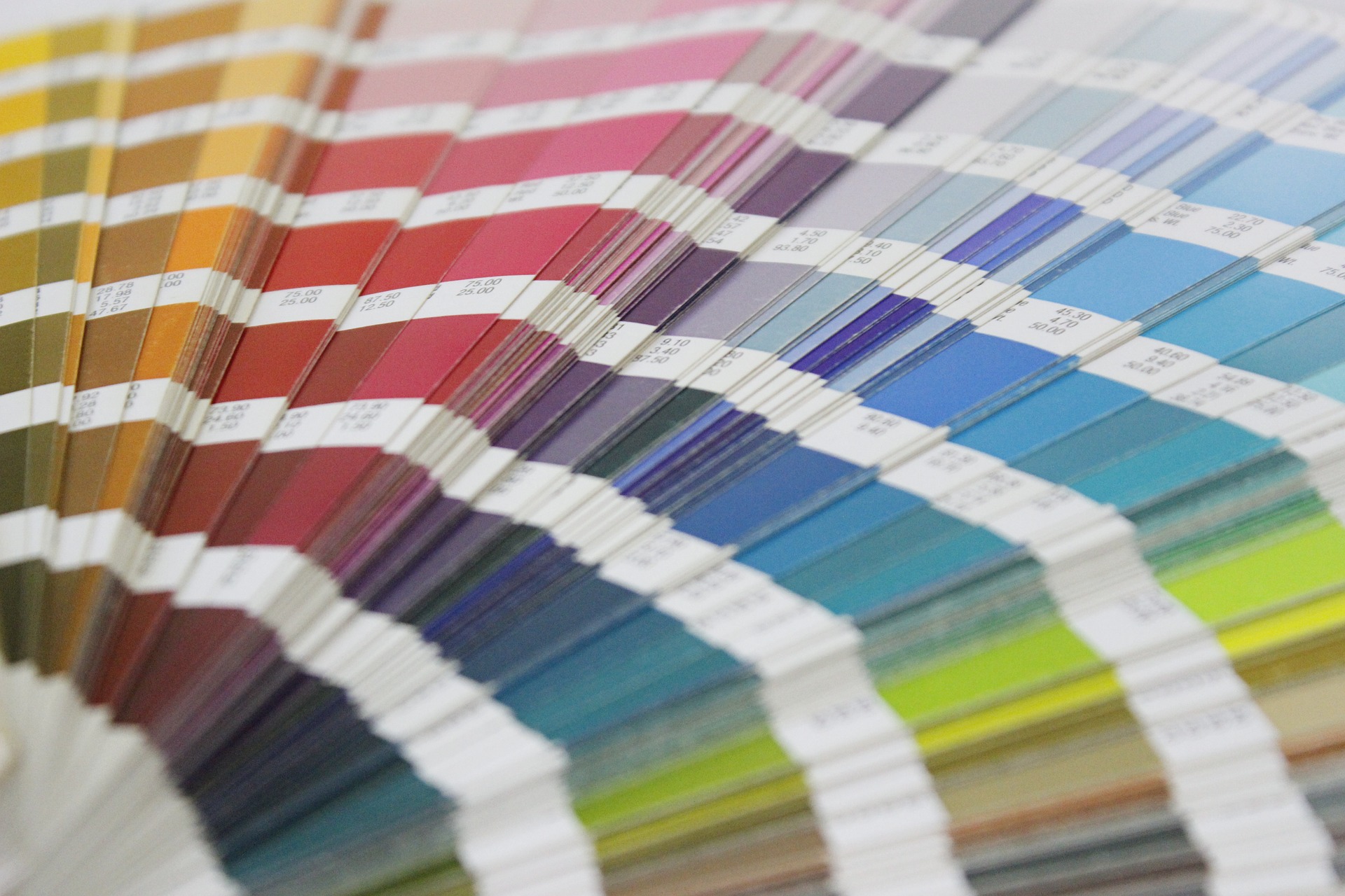 International - ColorConcept