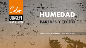 humedad en paredes y techo